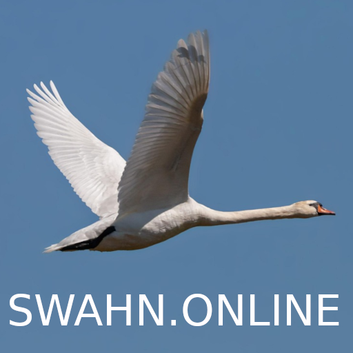 swahn.online